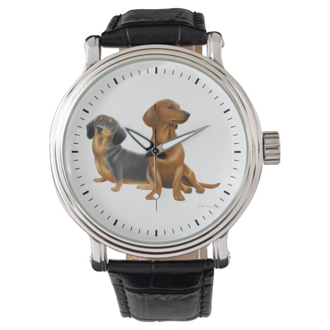 Junge Dackel Hunde beobachten Armbanduhr (Vorderseite)