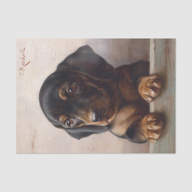 Junge Dackel von Carl Reichert Seidenpapier (Vorderseite)