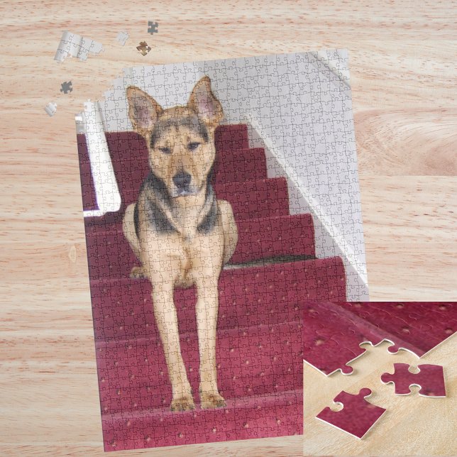 Junge deutsche Schäferhunde auf Treppen 16x20 (Young German Shepherd Dog Sitting on Stairs 16x20 Jigsaw Puzzle)