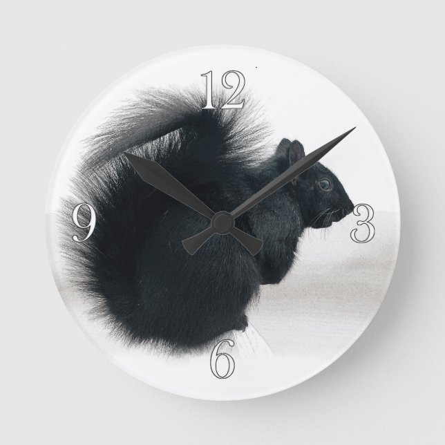 Junge Eichhörnchen im Winter-Foto Runde Wanduhr (Vorderseite)