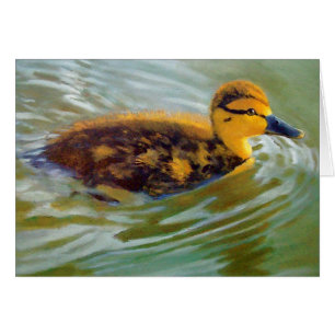 JUNGE ENTE IM SONNENLICHT