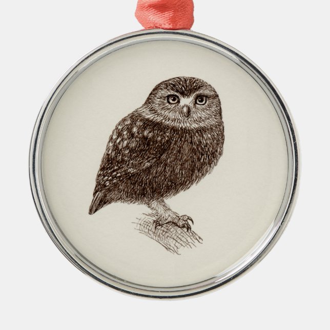 Junge Eulen-Prämien-Verzierung Silbernes Ornament (Vorne)