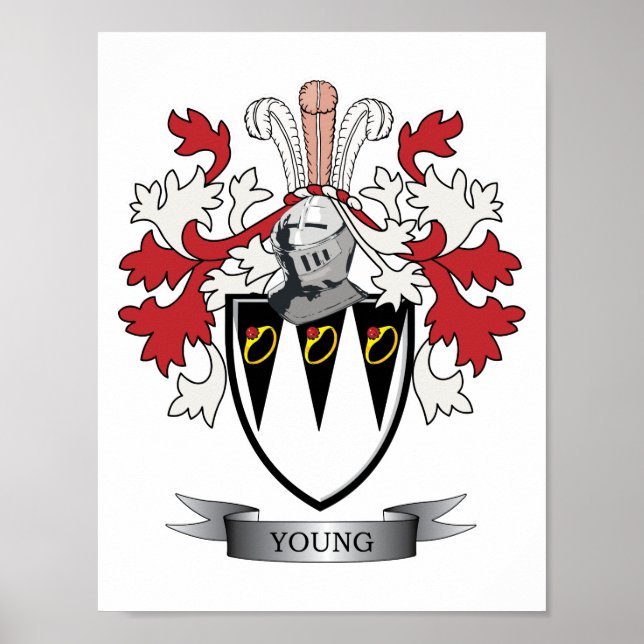 Junge Familienwappen-Wappen Poster (Vorne)