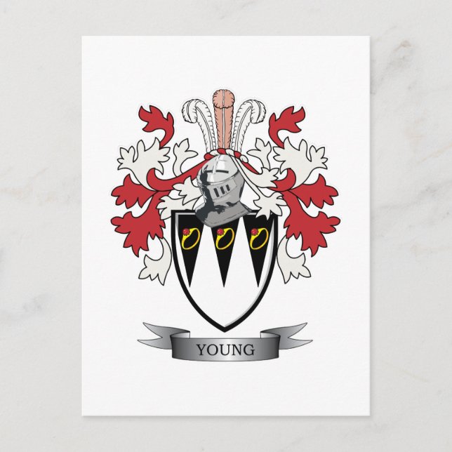 Junge Familienwappen-Wappen Postkarte (Vorderseite)