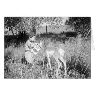 Junge fütternd Antilope