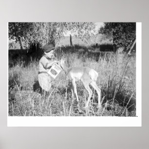 Junge fütternd Antilope Poster