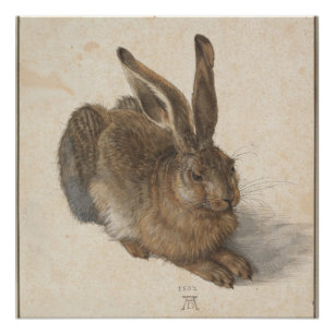 Junge Hase (Durer 1502) Poster