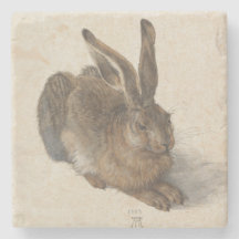 Junge Hasen durch Albrecht Durer