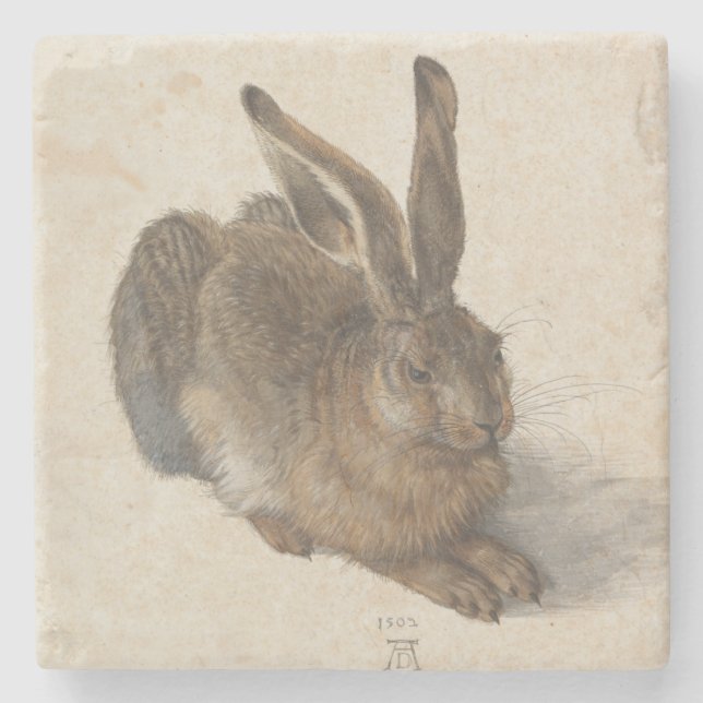 Junge Hasen durch Albrecht Durer Steinuntersetzer (Vorderseite)