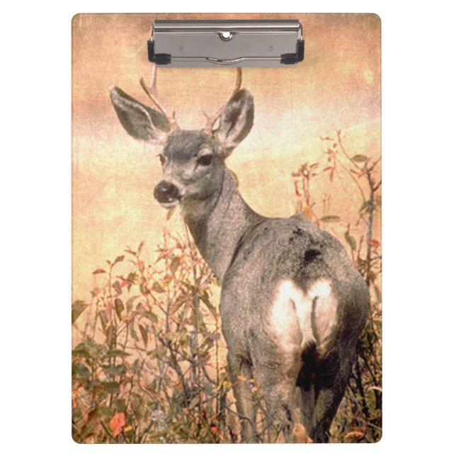 Junge Hirsche in Wildblumen mit grungy Texture Art Klemmbrett (Vorderseite)