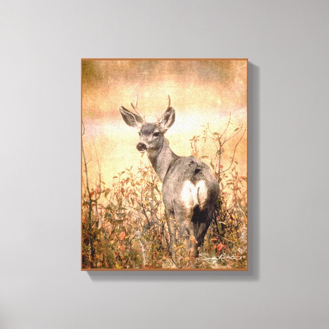 Junge Hirsche in Wildblumen mit grungy Texture Art Leinwanddruck (Vorderseite)