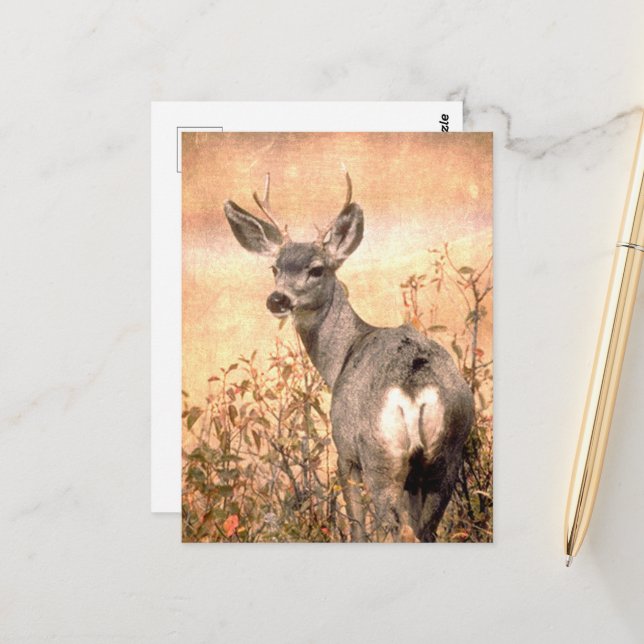 Junge Hirsche in Wildblumen mit grungy Texture Art Postkarte (Vorderseite/Rückseite Beispiel)
