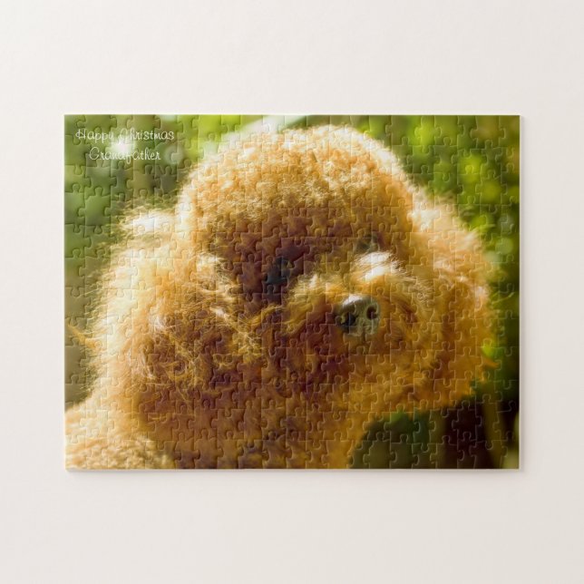 Junge Hunde. (Horizontal)