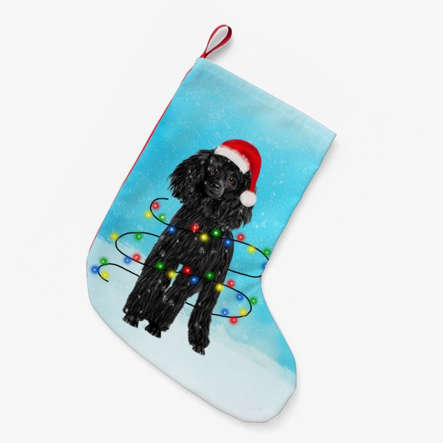 Junge Hündin sitzt im Schnee mit Weihnachtsmannmüt Kleiner Weihnachtsstrumpf (Vorderansicht (hängend))