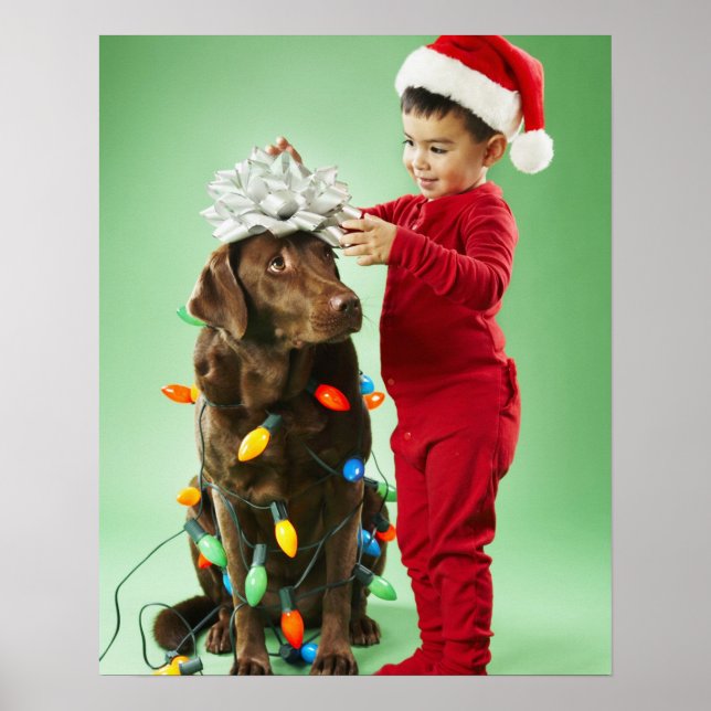 Junge Junge packt Weihnachtsleuchten um einen Hund Poster (Vorne)