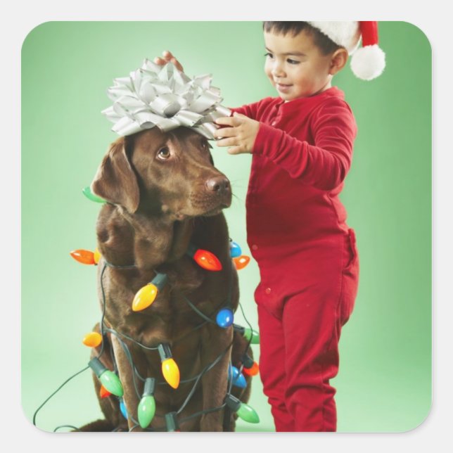 Junge Junge packt Weihnachtsleuchten um einen Hund Quadratischer Aufkleber (Vorderseite)