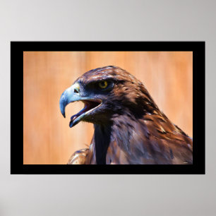 Junge Juvenile Bald Eagle Wildlife Painting Poster
