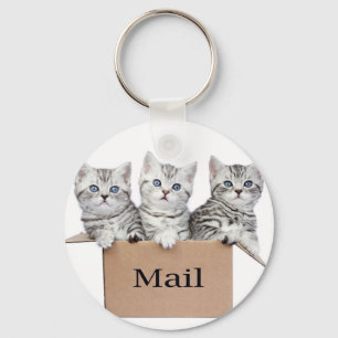 Junge Katzen im Sammelpack mit Wort Post Schlüsselanhänger