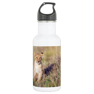 Junge Löwe Trinkflasche