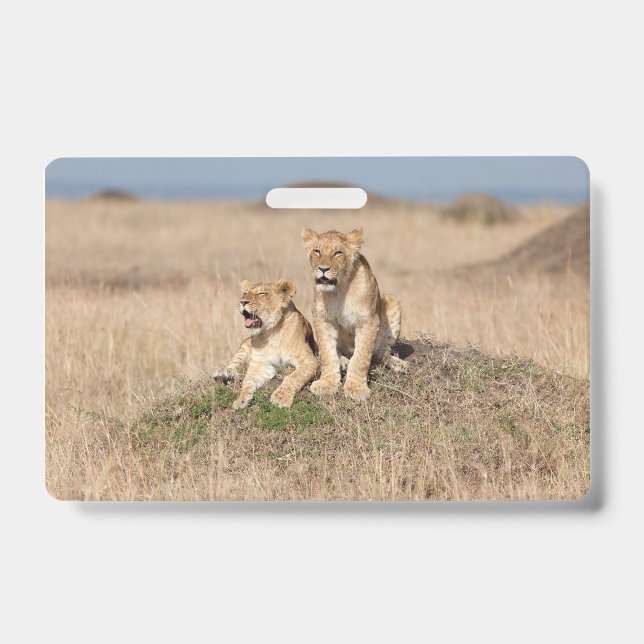 Junge Löwen Ausweis (Vorderseite)