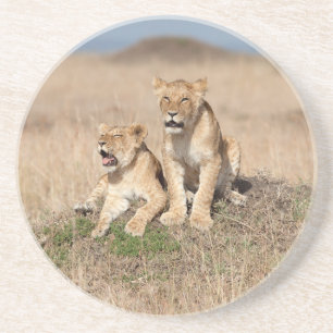 Junge Löwen Getränkeuntersetzer