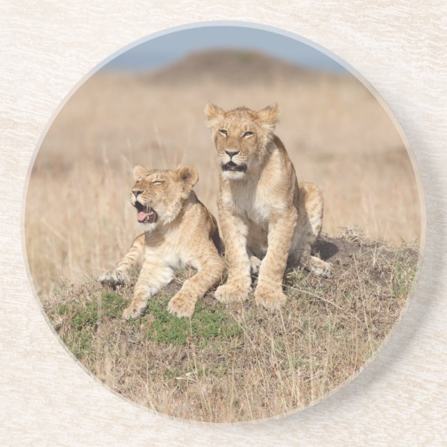 Junge Löwen Getränkeuntersetzer (Vorne)