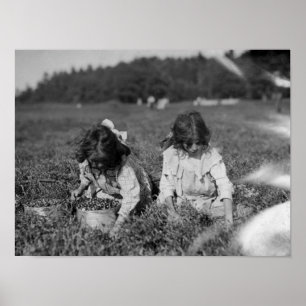 Junge Mädchen, die Moosbeerphotographie auswähle Poster