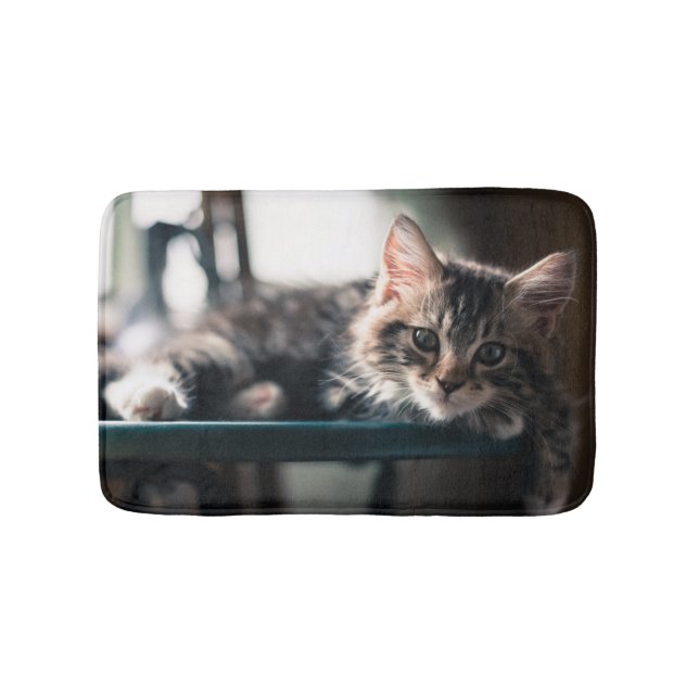 Junge männliche Tabby-Katze 2 Badematte (Vorderseite)