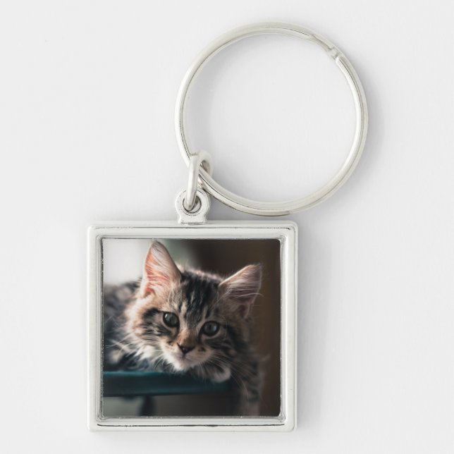 Junge männliche Tabby-Katze 2 Schlüsselanhänger (Vorne)