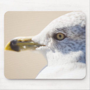 Junge Möve Mousepad