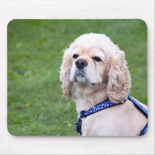 Junge niedliche Hundeaufstellung Mousepad