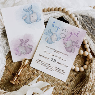 Junge oder Mädchen Elefant rosa blaues Geschlecht  Einladung