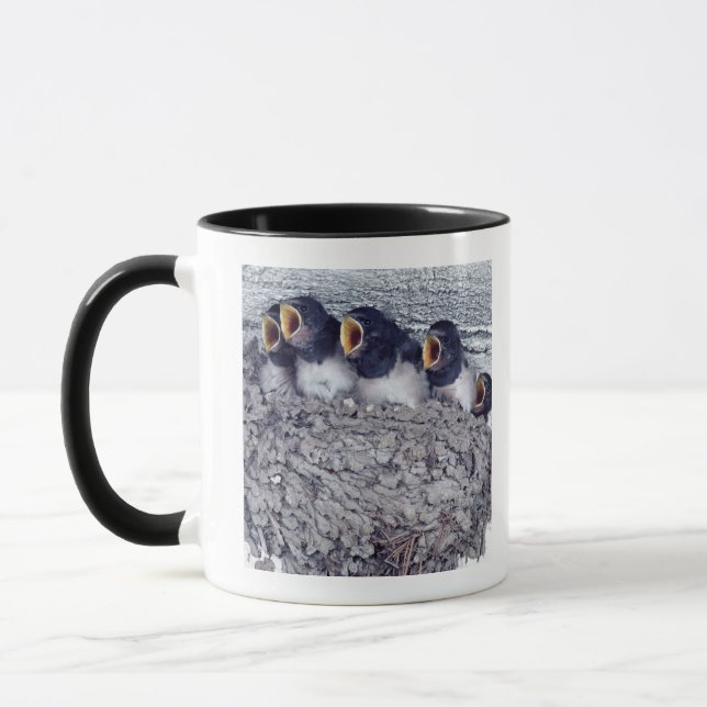 junge Scheunenschwalben Tasse (Links)