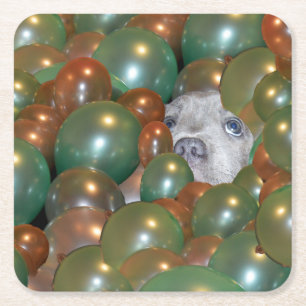 Junge Staffy versteckt sich in Balloons, Papier-Un Rechteckiger Pappuntersetzer