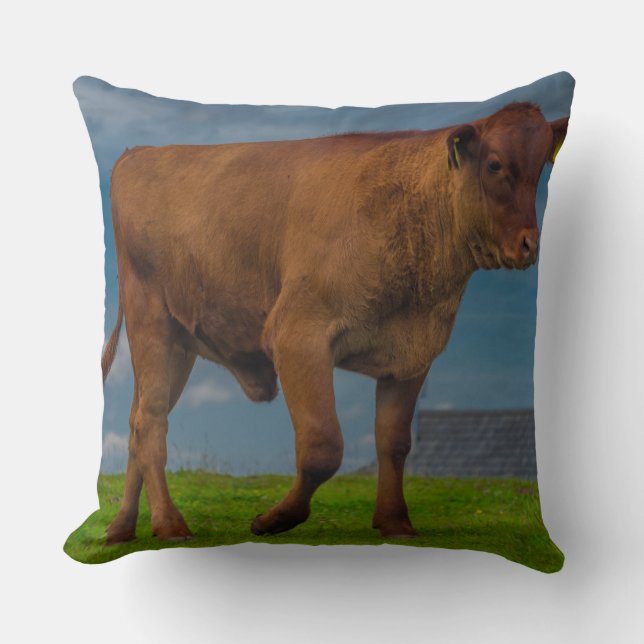Junge Stier Foto Kissen (Vorderseite)