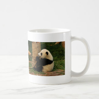 Junge Tasse des riesigen Pandas