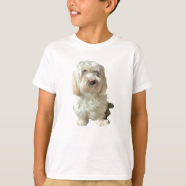 Junge Tee Shirt Havanese Hund