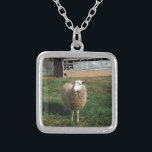 Junge weiße Schafe auf dem Bauernhof Versilberte Kette<br><div class="desc">Young White Sheep on Farm Foto von Sandy Closs "farm animal",  baby,  "baby dusche" Lamm,  "mommy schafe""white shadow", " lamb mutter"country "rustic wedding""lamb geschenke"shepherd,  Weihnachtscreme</div>