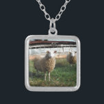 Junge weiße Schafe auf dem Bauernhof Versilberte Kette<br><div class="desc">Young White Sheep on Farm Foto von Sandy Closs "farm animal",  baby,  "baby dusche" Lamm,  "mommy schafe""white shadow", " lamb mutter"country "rustic wedding""lamb geschenke"shepherd,  Weihnachtscreme</div>