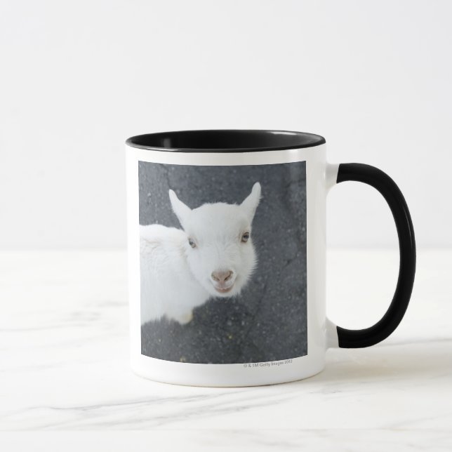 Junge Ziege Tasse (Rechts)