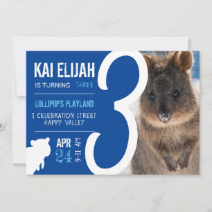 Jungen Dritter Geburtstag Blau Quokka Australien F Einladung