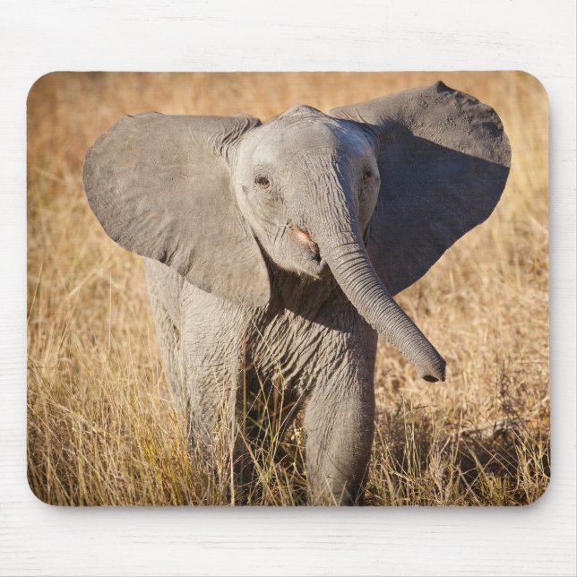 Junger Afrikanischer Elefant Mousepad (Vorne)
