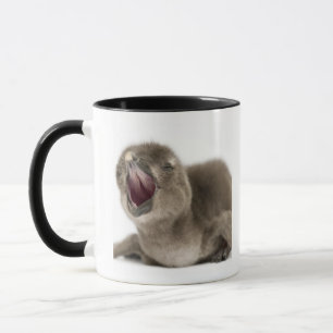 Junger afrikanischer Pinguin - Spheniscus Tasse