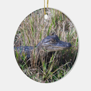 Junger Alligator im Sumpfgras Wildlife Natur Keramik Ornament