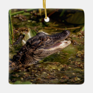 Junger Alligator Keramikornament