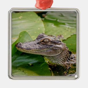 Junger Alligator Ornament Aus Metall