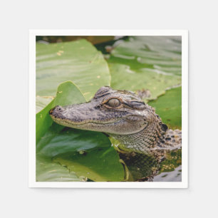 Junger Alligator Serviette