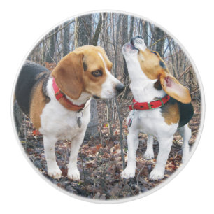 Junger Beagle-WaldKeramik-Griff Keramikknauf