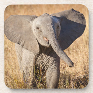 Junger Busch-Elefant Getränkeuntersetzer