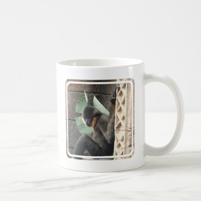 Junger Capuchin-Affe Kaffeetasse (Rechts)